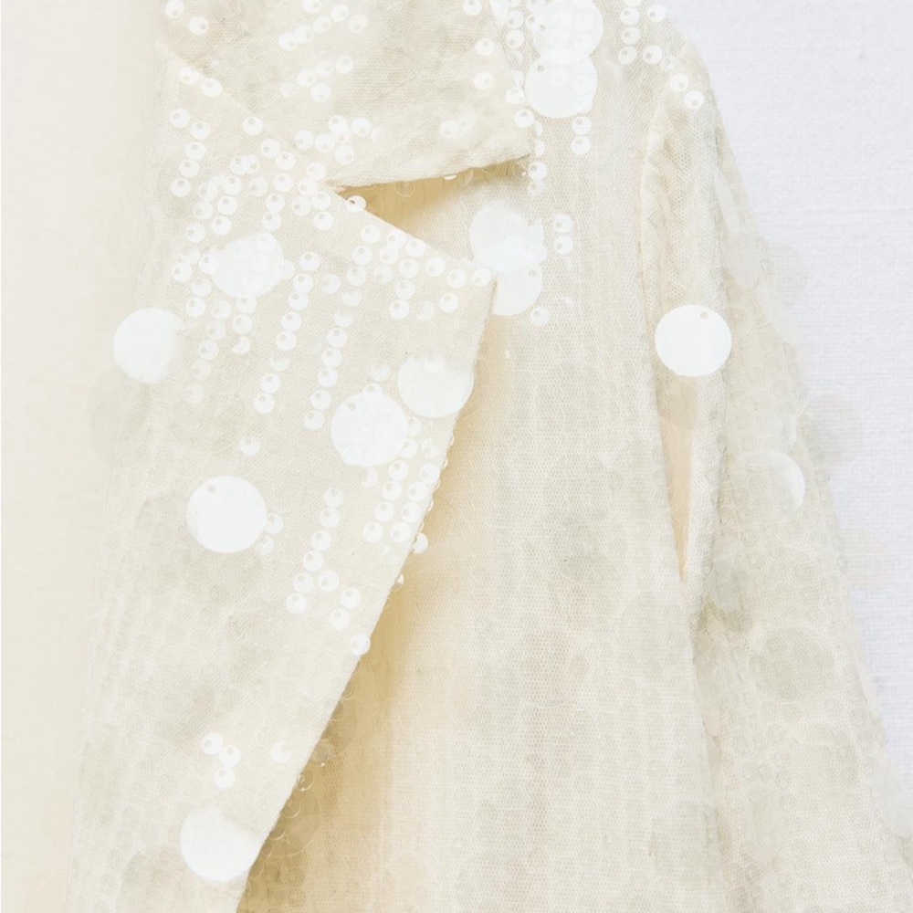 Zara Cream Sequin Blazer Jacket - Picture 11 of 11